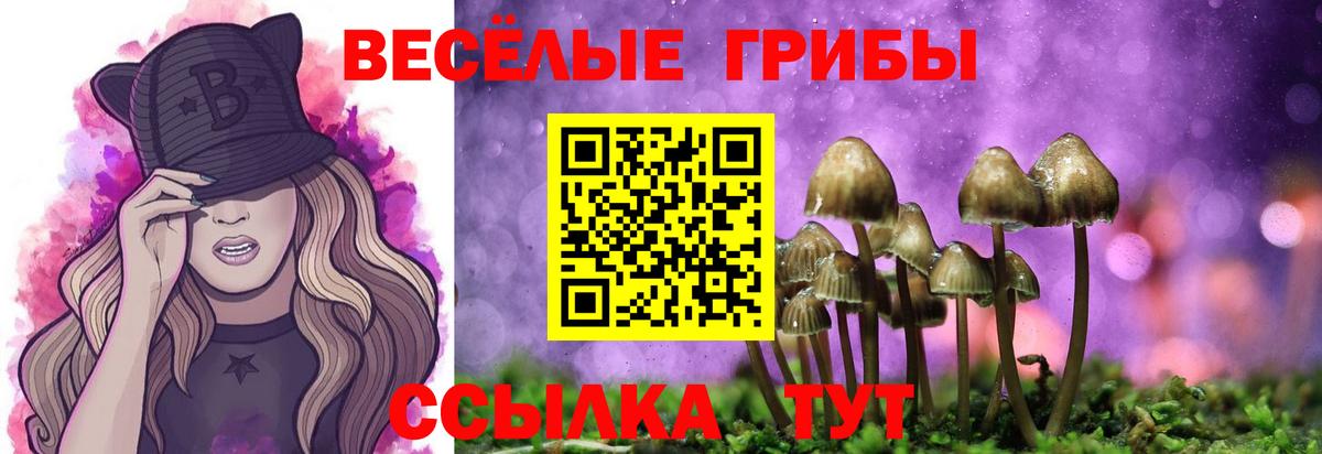 Троицк  Псилоцибиновые грибы MAGIC MUSHROOMS  Галлюциногенные грибы GOLDEN TEACHER  Вход с VPN 